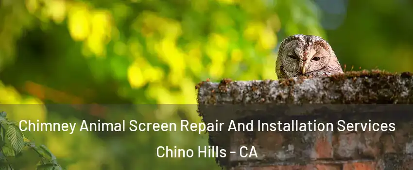  Chimney Animal Screen Repair And Installation Services Chino Hills - CA