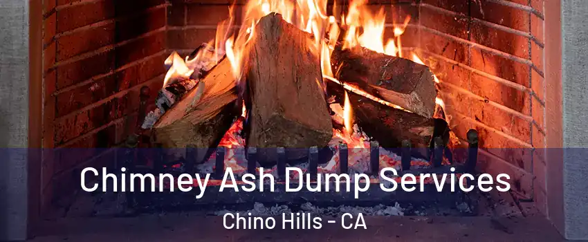  Chimney Ash Dump Services Chino Hills - CA