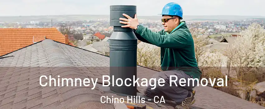  Chimney Blockage Removal Chino Hills - CA