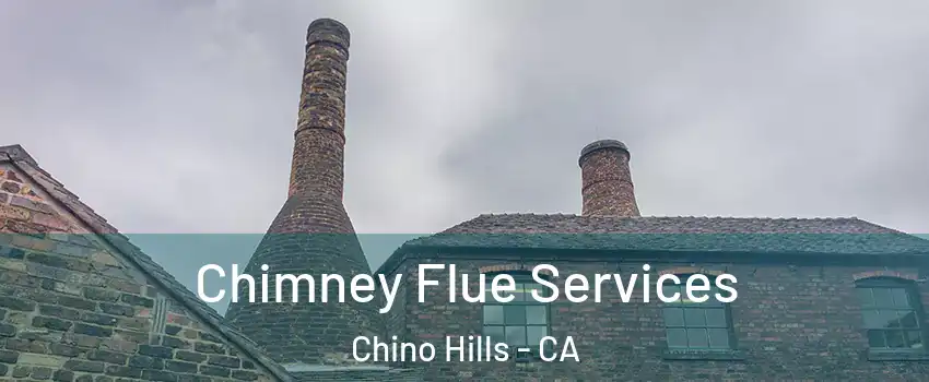  Chimney Flue Services Chino Hills - CA