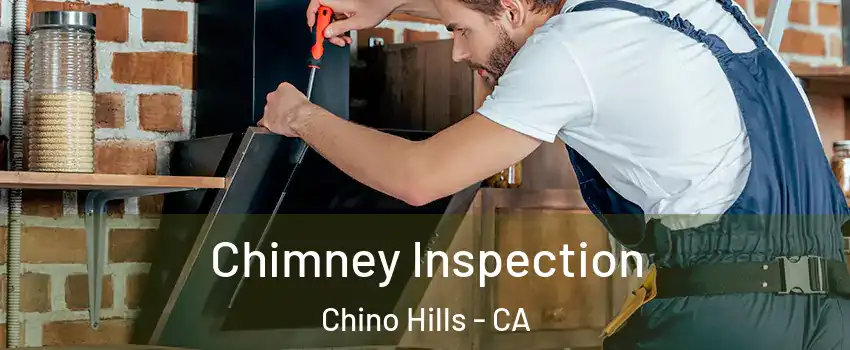  Chimney Inspection Chino Hills - CA