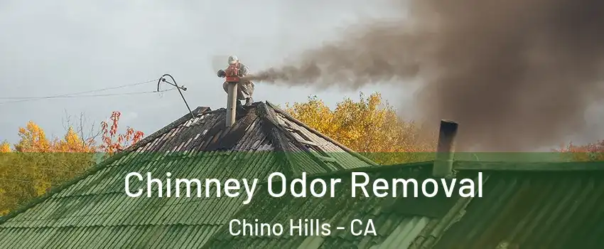  Chimney Odor Removal Chino Hills - CA