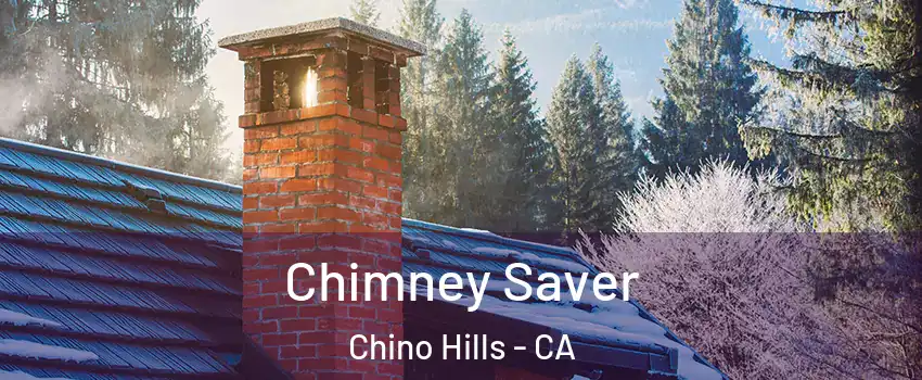  Chimney Saver Chino Hills - CA