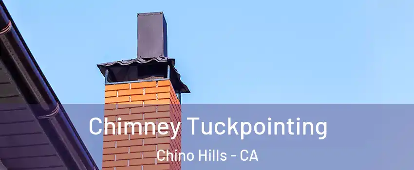  Chimney Tuckpointing Chino Hills - CA
