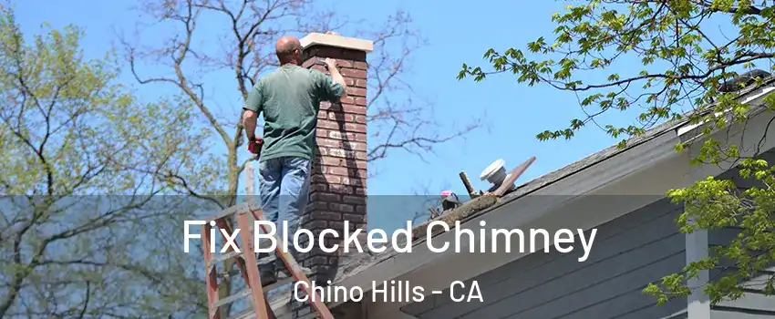  Fix Blocked Chimney Chino Hills - CA