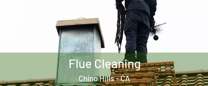  Flue Cleaning Chino Hills - CA