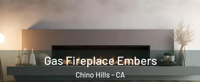  Gas Fireplace Embers Chino Hills - CA