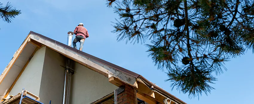 Birds Removal Contractors from Chimney in Chino Hills, CA