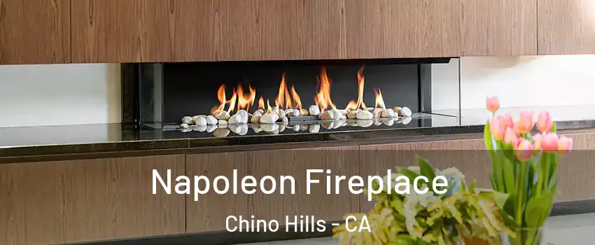  Napoleon Fireplace Chino Hills - CA